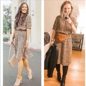Anthropologie McKenzie Dress Animal print dress